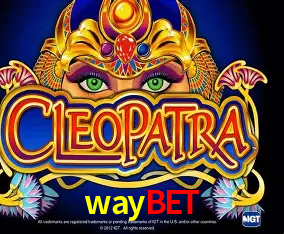 waybet Curitiba - Live Status